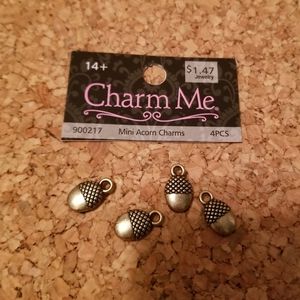 💥Final Markdown💥Acorns and Moon Charms
